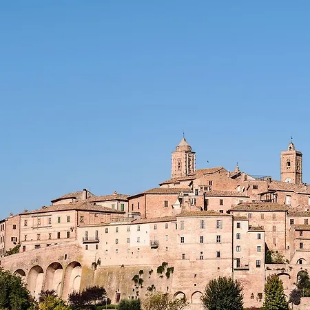 Contessina * Cossignano